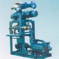 JZJS罗茨泵-水环泵机组