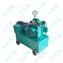 4DSY电动试压泵系系列