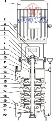 DL立式低转速多级泵结构示意图