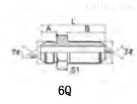 6Q 6Q-LN 6Q-RN 6Q-LN/RN 公制外螺纹74°外锥过板接头