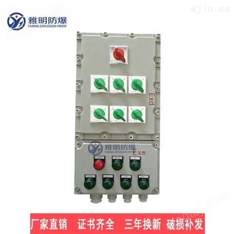 BXS防爆检修电源插座箱（IIB、IIC、DIP）